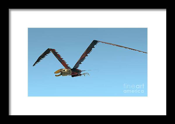 Raptor Framed Print featuring the photograph Saw Bird -Raptor by Bill Thomson