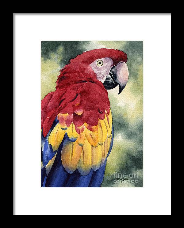 Scarlet Framed Print featuring the painting Scarlet Macaw by David Rogers