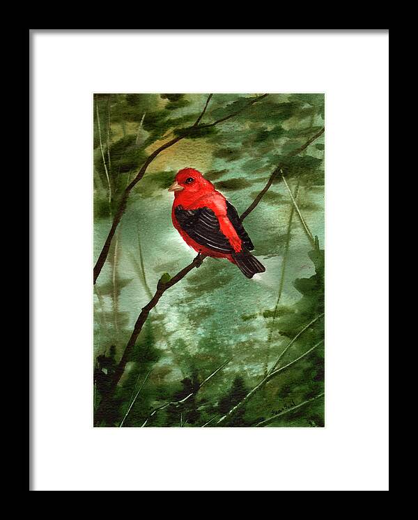 Birds Framed Print featuring the painting Scarlet Tanager by Sean Seal