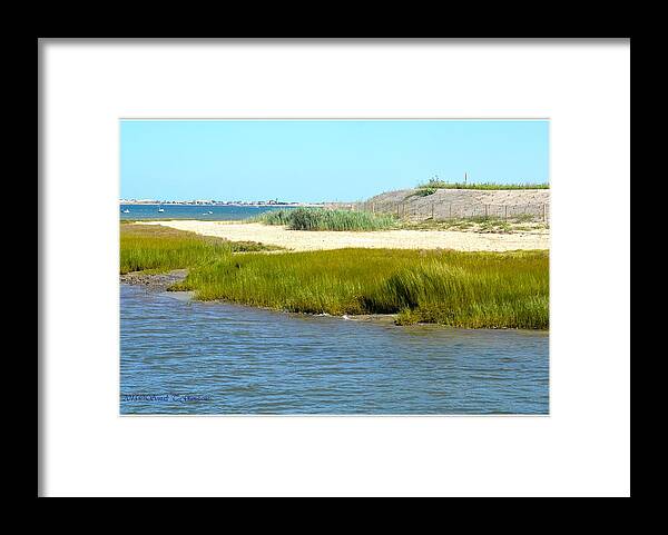 Art For Living Roo Framed Print featuring the photograph Scenic Cape Cod by Sonali Gangane