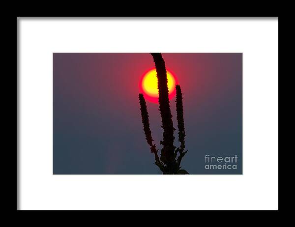 Sunset Framed Print featuring the photograph Scepter of the Sun by Jim Garrison