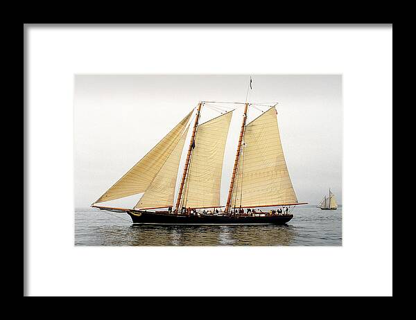 Windjammer Framed Print featuring the photograph Schooner America by Fred LeBlanc