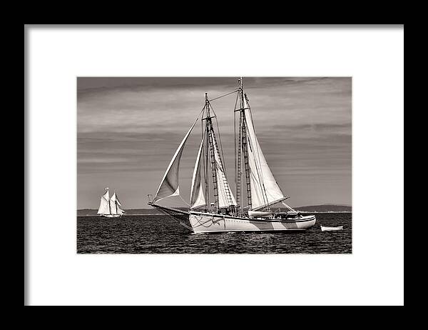  Framed Print featuring the photograph Schooner American Eagle 2012 by Fred LeBlanc