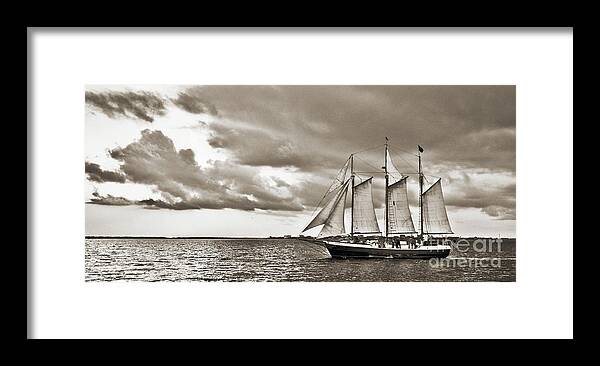 Tall Ship Framed Print featuring the photograph Schooner Pride Tallship Charleston SC by Dustin K Ryan