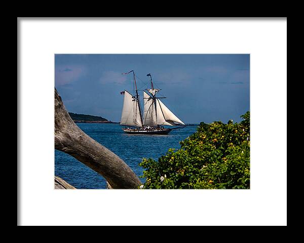 Lynx Framed Print featuring the photograph Schooner sailing out of the harbor by Jeff Folger