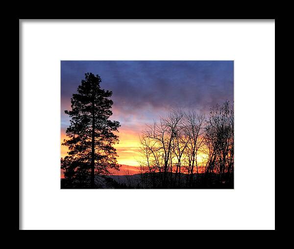 Sunset Framed Print featuring the photograph Scintillating Sunset by Will Borden