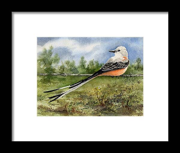 Scissortail Framed Print featuring the painting Scissor-Tail Flycatcher by Sam Sidders