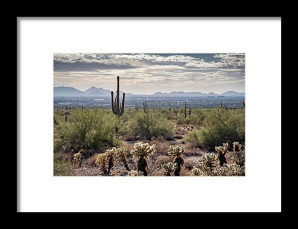 Scottsdale Framed Print featuring the photograph Scottsdale Arizona by David Hart