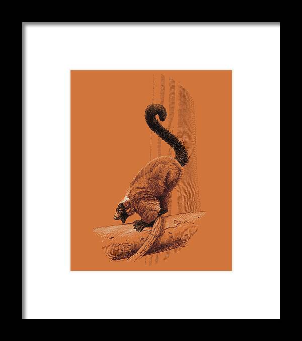Lemur Framed Print featuring the drawing Screaming Lemur by Swann Smith
