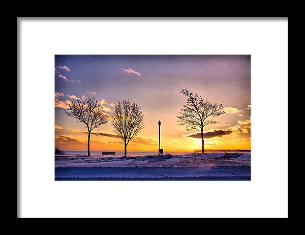 Tree Framed Print featuring the photograph .scuse me while I touch the sky.. by Russell Styles