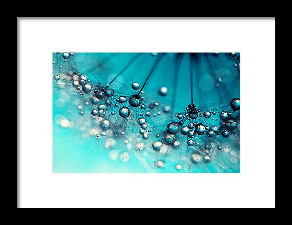 Dandelion Framed Print featuring the photograph Sea Blue Shower by Sharon Johnstone