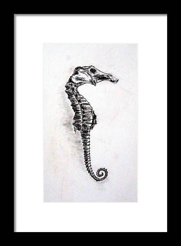 Sea Horse Framed Print featuring the drawing Sea Horse by Jolly Van der Velden