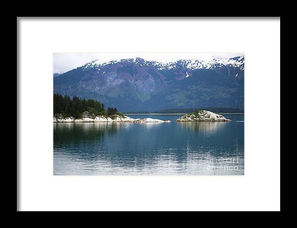 Sea Lions Framed Print featuring the photograph Sea Lions Alaska Two by Veronica Batterson