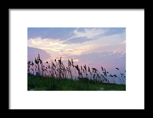 Photo Framed Print featuring the photograph Sea Oats on Lavender 1 by Alan Hausenflock