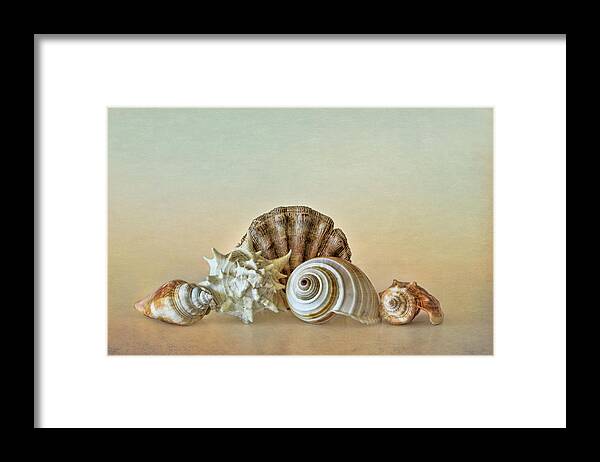 Beach Framed Print featuring the photograph Sea Shells by the Seashore by David and Carol Kelly