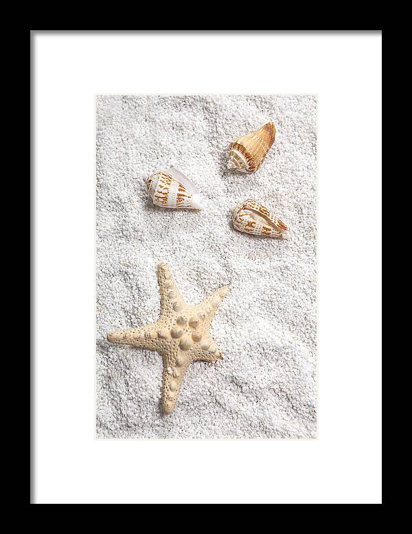 Shell Framed Print featuring the photograph Sea Shells by Joana Kruse