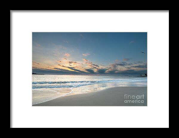 Sunrise Framed Print featuring the photograph Sea Shore Island Life by Dale Powell