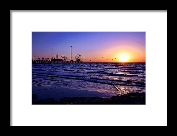 Galveston Framed Print featuring the photograph Seagull Sunrise by Judy Vincent
