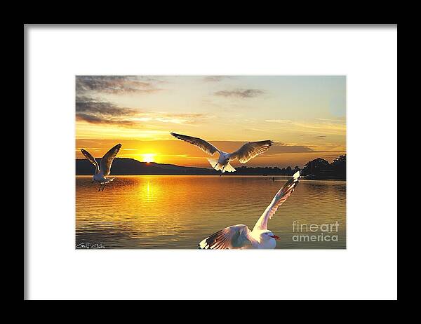 Golden Framed Print featuring the photograph Seagulls at Sunrise... Exclusive Original stock Photo Art by Geoff Childs