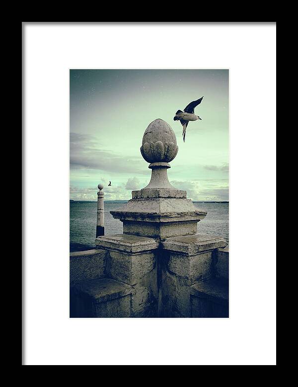 Lisbon Framed Print featuring the photograph Seagulls in Columns Dock by Carlos Caetano