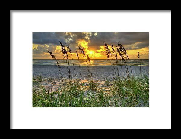 Seaoats Framed Print featuring the photograph Seaoats Sunrise at Beach by Kim Seng