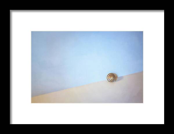 Seashell Framed Print featuring the photograph Seashell by the Seashore by Scott Norris