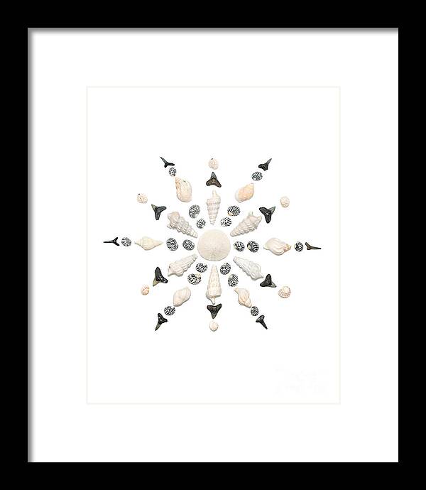 Shell Art Framed Print featuring the photograph Seashell Snowflake 3 by Jennifer Booher