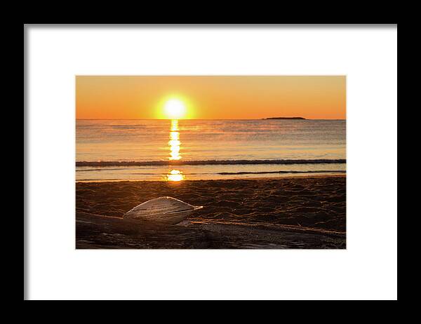 Seashell Framed Print featuring the photograph Seashell Sunrise by Kirkodd Photography Of New England