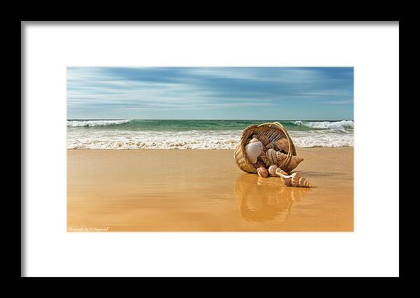 Seashells Forster Framed Print featuring the digital art Seashells Forster 061 by Kevin Chippindall