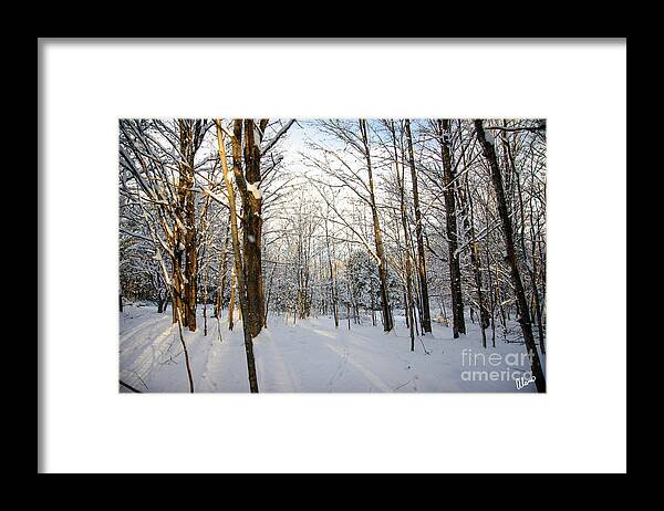 Snow Covered Framed Print featuring the photograph Seasons Change by Alana Ranney