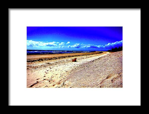 Seat Framed Print featuring the photograph Seat For One by Douglas Barnard