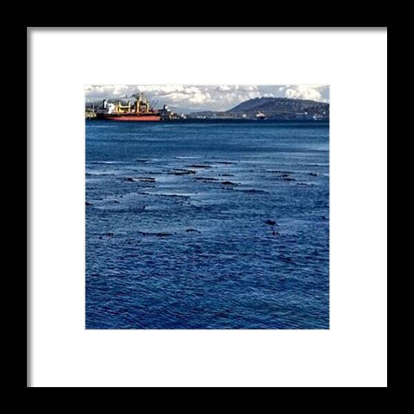  Framed Print featuring the photograph Seaweed by Christian Richards