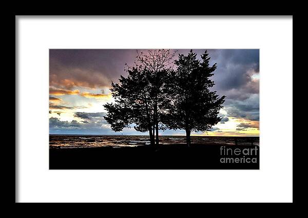 Moods Framed Print featuring the photograph Second Visit by Dani McEvoy