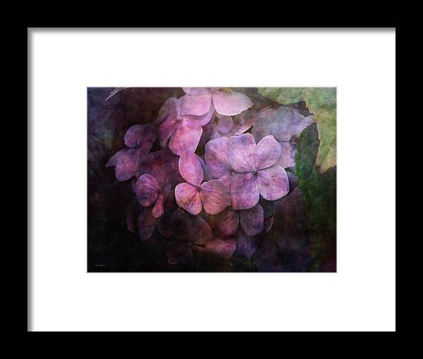 Impressionist Framed Print featuring the photograph Secret Hydrangea 1538 IDP_2 by Steven Ward