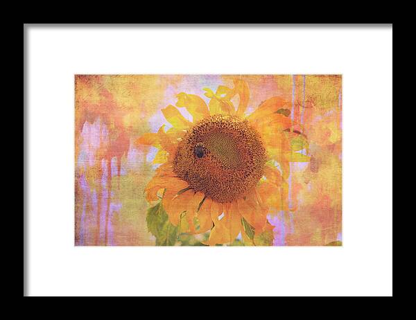 Sunflower Framed Print featuring the photograph Secret Life of Bee by Toni Hopper