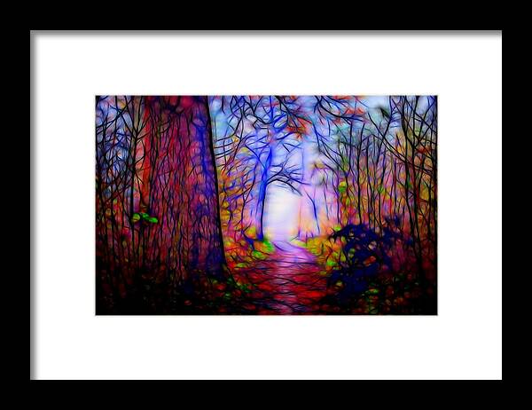 Secret Path Framed Print featuring the digital art Secret Path in Magic Forest by Lilia S