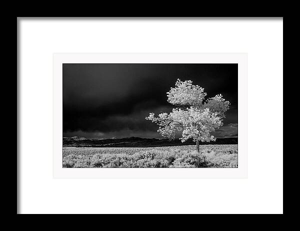 Ir Framed Print featuring the photograph Selective by Brian Duram