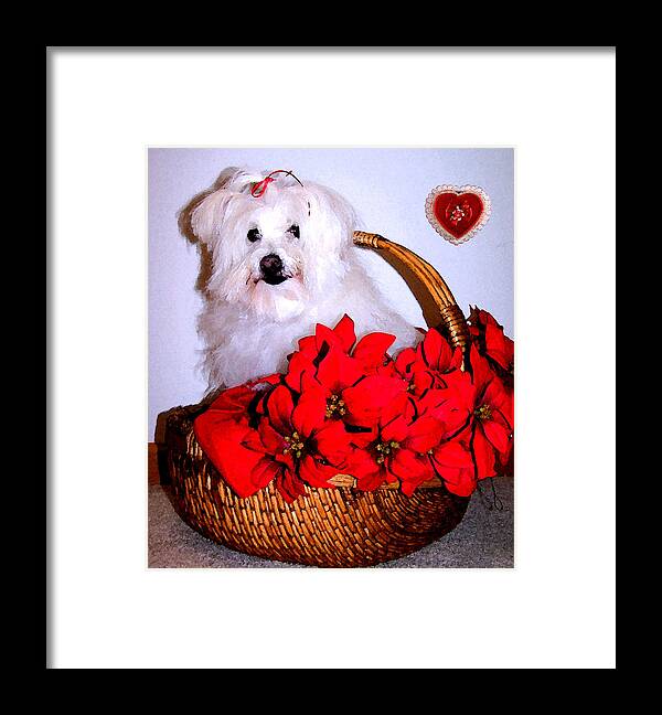 Christmas Framed Print featuring the photograph Sending Love by Vijay Sharon Govender