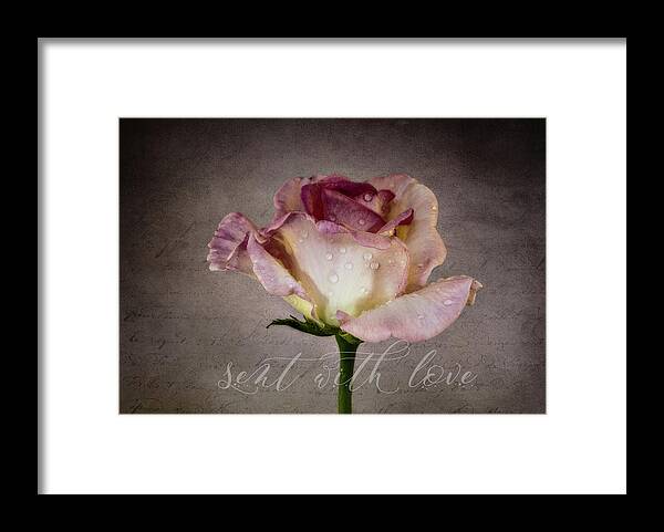 Photography Framed Print featuring the digital art Sent with Love by Terry Davis