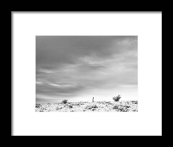 Landscape Framed Print featuring the photograph Sentinel Against A Winter Sky by Mary Lee Dereske