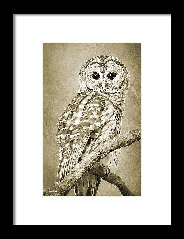 Owl Framed Print featuring the photograph Sepia Owl by Christina Rollo