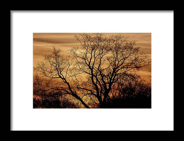 Landscape Framed Print featuring the photograph Sepia Sunset by Michael Nowotny
