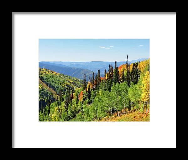Fall Framed Print featuring the photograph September in Steamboat Springs by Connor Beekman