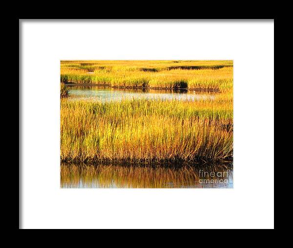 Water Framed Print featuring the photograph Serene Grasses by Sybil Staples