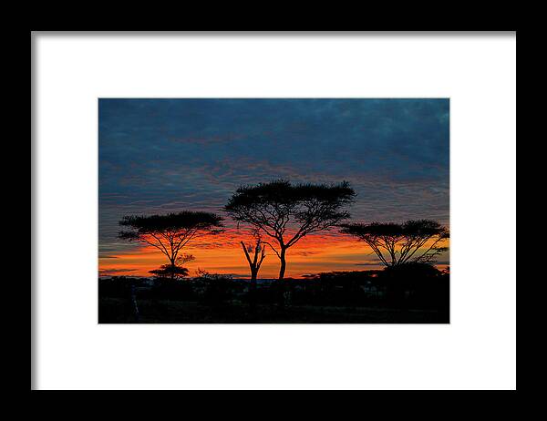 Africa Framed Print featuring the photograph Serengeti Sunrise by Marilyn Burton
