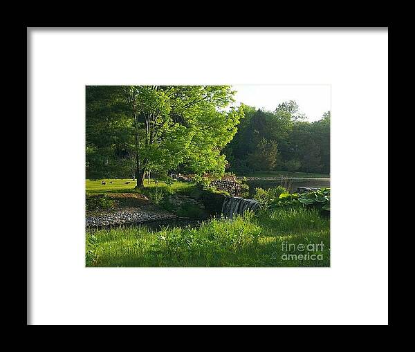 Landscape Framed Print featuring the photograph Serenity by Dani McEvoy