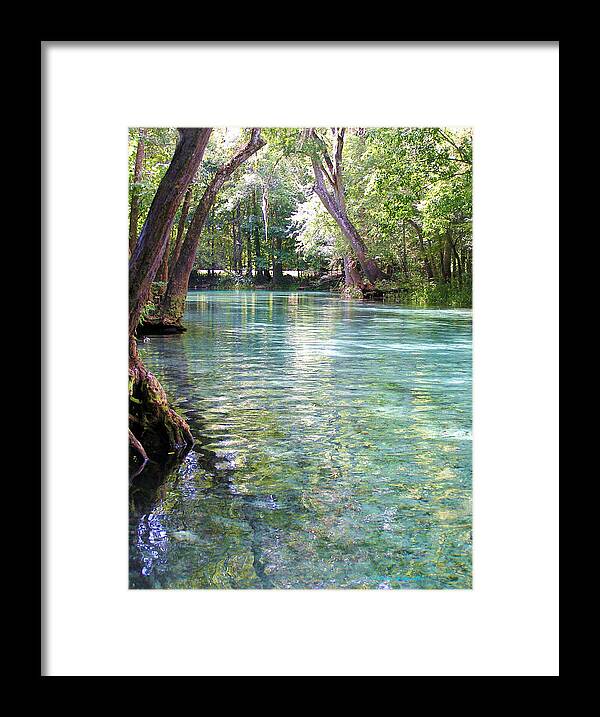 Ginnie Springs Framed Print featuring the photograph Serenity by Li Newton