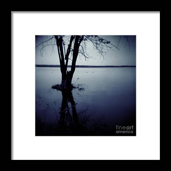 Landscape Framed Print featuring the photograph Series Wood and Water 2 by RicharD Murphy