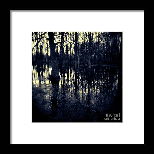 Landscape Framed Print featuring the photograph Series Wood and Water 4 by RicharD Murphy