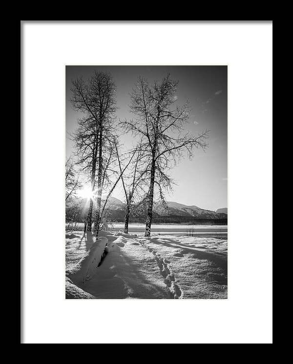 Alaska Framed Print featuring the photograph Setting Winter Sun by Michele Cornelius